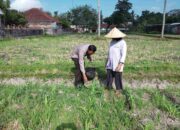 Polsek Kuripan Ajak Warga Dusun Due Pelet Wujudkan Kemandirian Pangan