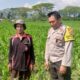 Sinergi Polisi dan Petani di Desa Jagaraga untuk Wujudkan Kemandirian Pangan