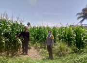 Sinergi Polisi dan Petani Jagaraga Perkuat Ketahanan Pangan Lokal