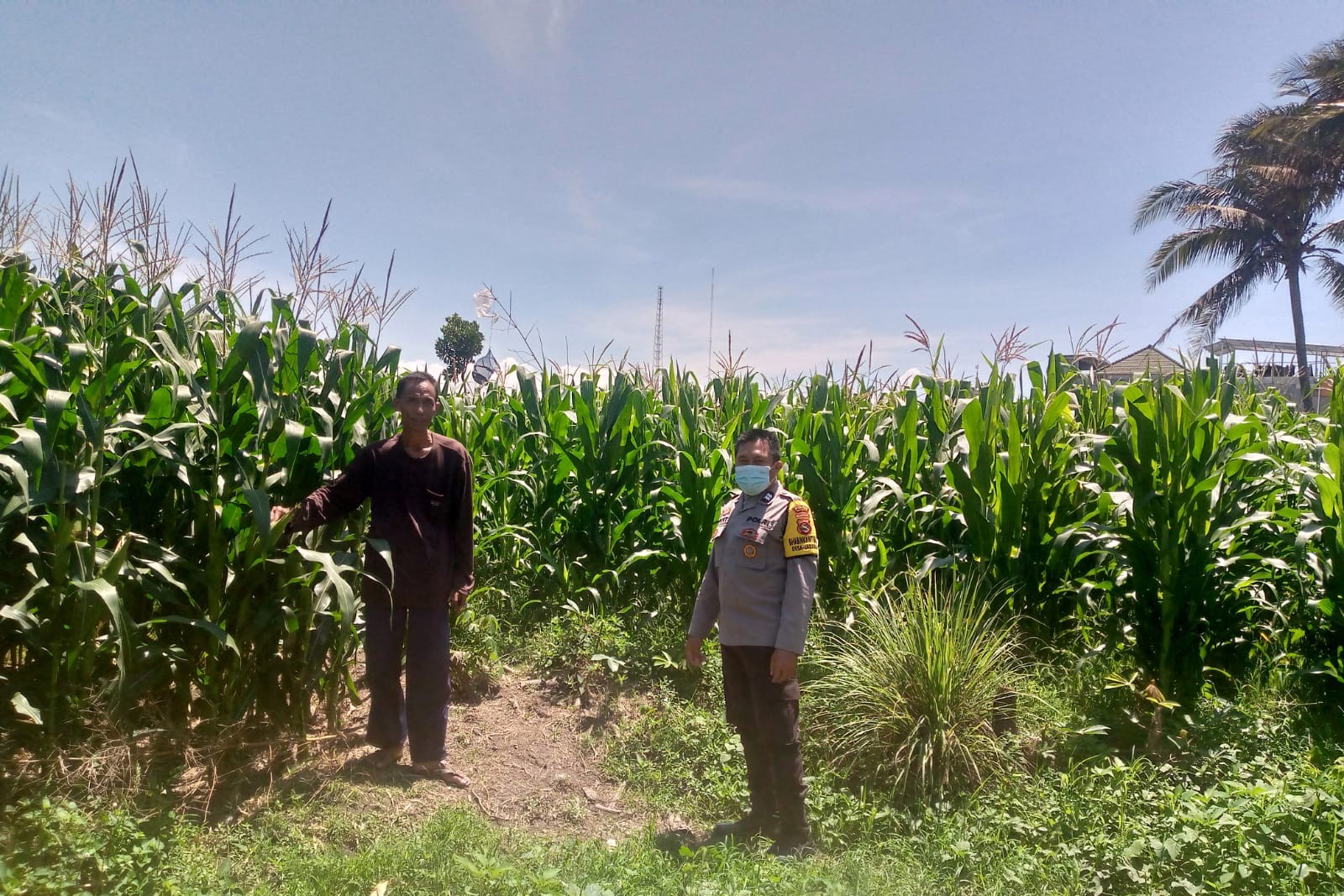 Polsek Kuripan Dorong Ketahanan Pangan Desa Jagaraga Lombok Barat