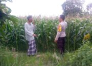 Polisi dan Petani Desa Jagaraga Bersinergi Wujudkan Ketahanan Pangan Lokal