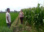 Polsek Kuripan Ajak Warga Dusun Adeng Lombok Barat Kembangkan Pekarangan Produktif