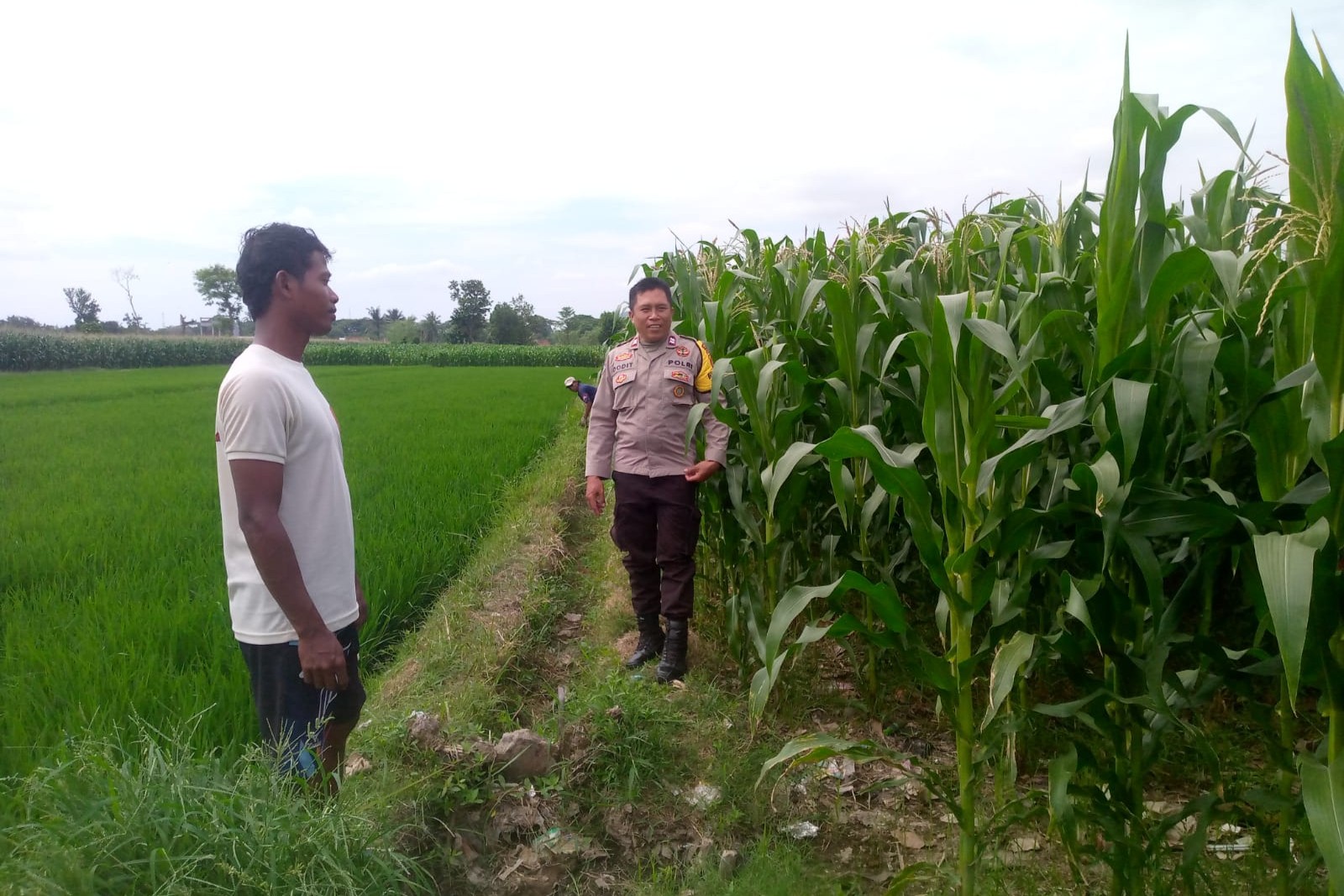 Polsek Kuripan Galakkan Program Ketahanan Pangan di Dusun Adeng, Lombok Barat