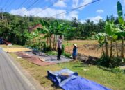 Sinergi Polisi dan Petani di Eyat Mayang, Lombok Barat untuk Pangan Nasional