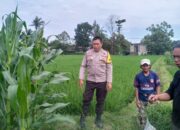 Dari Pekarangan Rumah, Warga Jagaraga Mulai Gerakan Ketahanan Pangan