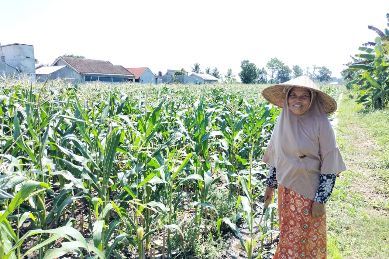 Sinergi Polri dan Petani di Desa Labuapi untuk Perkuat Ketahanan Pangan Nasional