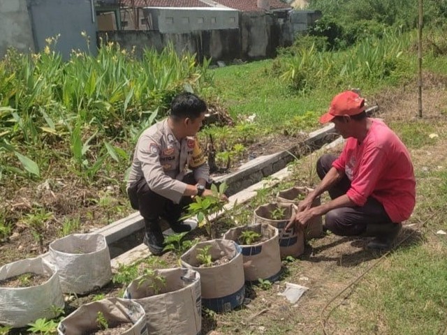 Sinergi Polsek Labuapi dan Warga Mapak Reong Dorong Pemanfaatan Pekarangan Produktif