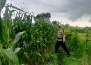 Polri Dukung Ketahanan Pangan Lewat Edukasi Petani di Desa Terong Tawah