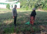 Edukasi Ketahanan Pangan, Bhabinkamtibmas Kuranji Gandeng Petani Lokal
