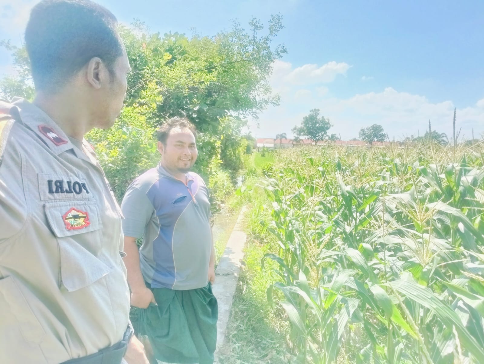 Polri Hadir untuk Pangan: Petani Desa Labuapi Didukung Tanam Jagung di Lahan Kosong