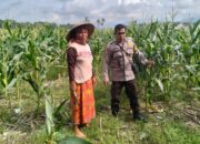 Edukasi Ketahanan Pangan, Polisi Sambangi Warga Karang Kebon Labuapi