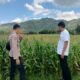 Pendampingan Petani Jagung oleh Polsek Kuripan, Dorong Ketahanan Pangan Lombok Barat