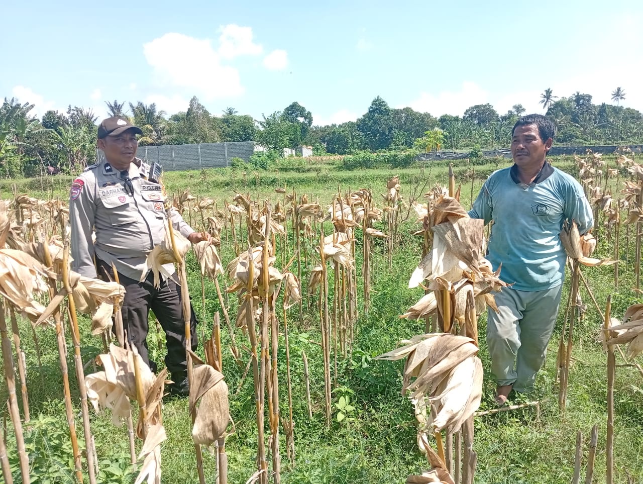 Situasi Desa Merembu Kondusif, Polisi Ajak Warga Fokus pada Kemandirian Pangan