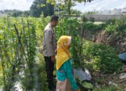 Kunjungan Bhabinkamtibmas di Labuapi: Ajak Warga Tanam Jagung di Lahan Pekarangan