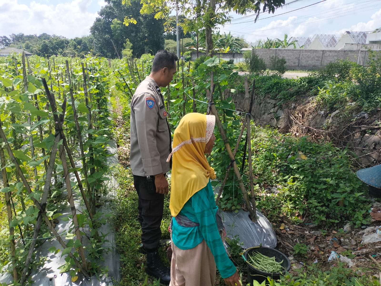 Ketahanan Pangan Diperkuat, Bhabinkamtibmas Desa Labuapi Ajak Warga Produktif