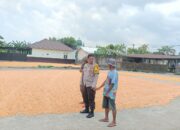 Ketahanan Pangan Lombok Barat: Stok Jagung 30 Ton Terpantau di Gerung