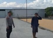 Polsek Kuripan Pantau Gudang Jagung CV Galatia untuk Stabilitas Pangan Lombok Barat