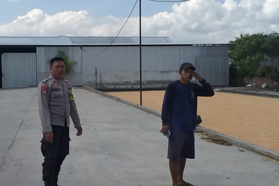 Gudang Jagung CV Galatia Disorot Polisi, Dukungan ke Bulog Jadi Harapan Bersama