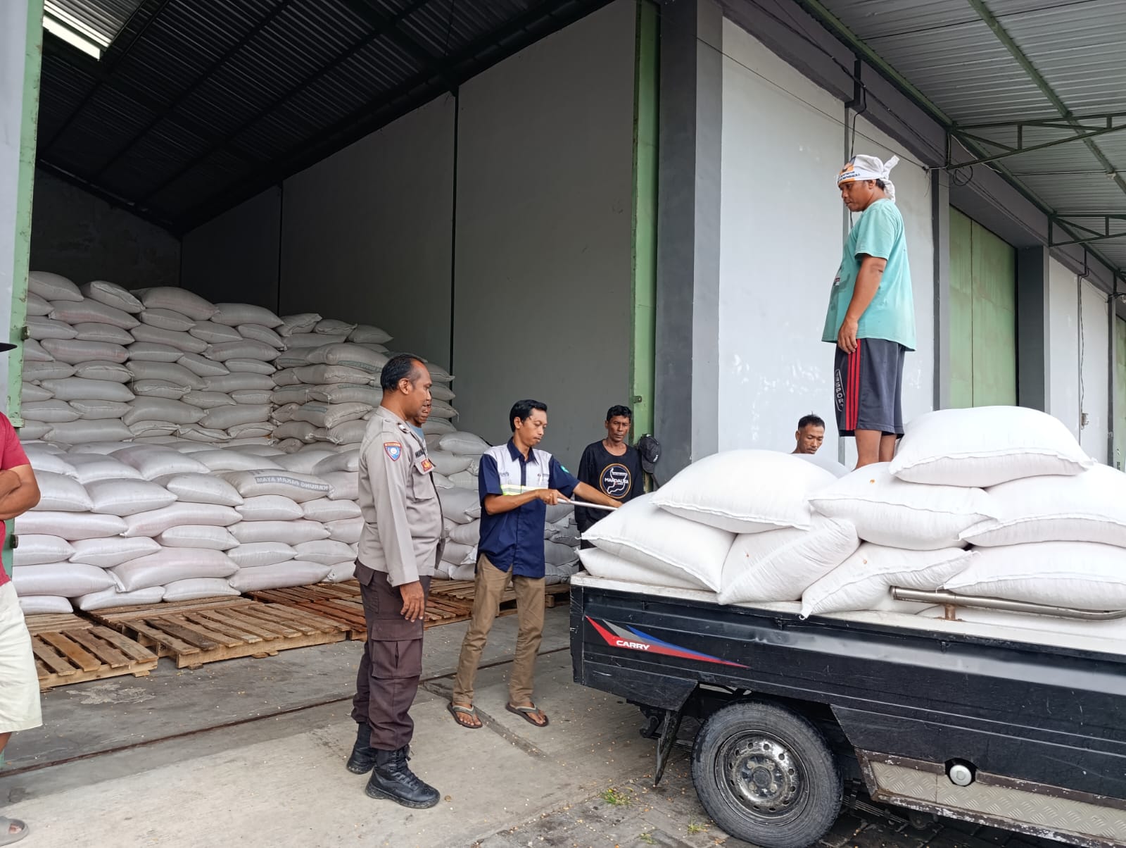 Bulog Mataram Serap 3,4 Ton Jagung Petani Gerung dengan Pengawalan Polisi