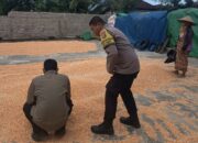 Bhabinkamtibmas Kedaro Dampingi Bulog NTB Survei Kualitas Jagung