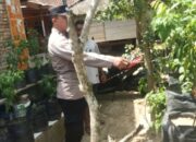 Kapolsek Sekotong Apresiasi Pemanfaatan Pekarangan Pangan di Desa Taman Baru