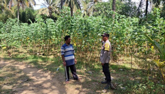 Polri Aktif Dukung Program Pangan Nasional Lewat Gerakan Pekarangan Desa Pelangan