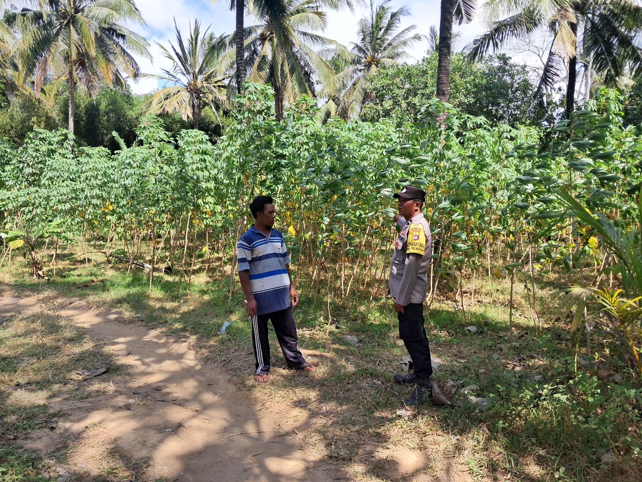 Sinergi Polsek Sekotong dan Warga Pelangan dalam Mewujudkan Kemandirian Pangan