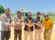 Pendampingan Polri di Gerung: Jagung Desa Beleka Lolos Uji Kadar Air Ideal