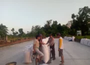 Polsek Kuripan Pastikan Kualitas Jagung Petani Gerung Penuhi Standar Bulog