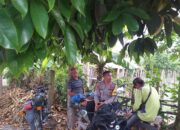 Polsek Kuripan Perkuat Program Ketahanan Pangan di Desa Jagaraga