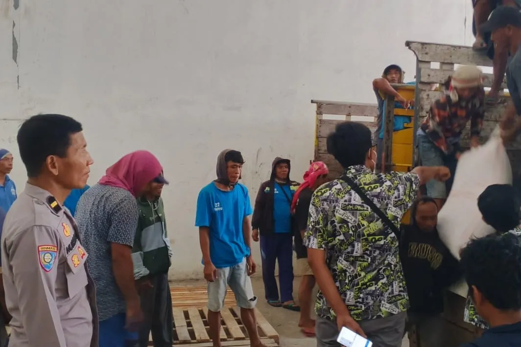 Petani Lega! Jagung Kering Terserap Bulog dengan Harga Acuan Pemerintah