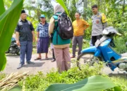 Program P3-TGAI Lombok Barat: Irigasi Baru untuk Desa Lelede