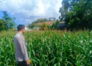 Dekat dengan Warga, Bhabinkamtibmas Perampuan Kawal Program Ketahanan Pangan