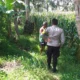Sinergi Polri dan Petani di Lombok Barat Perkuat Kemandirian Pangan