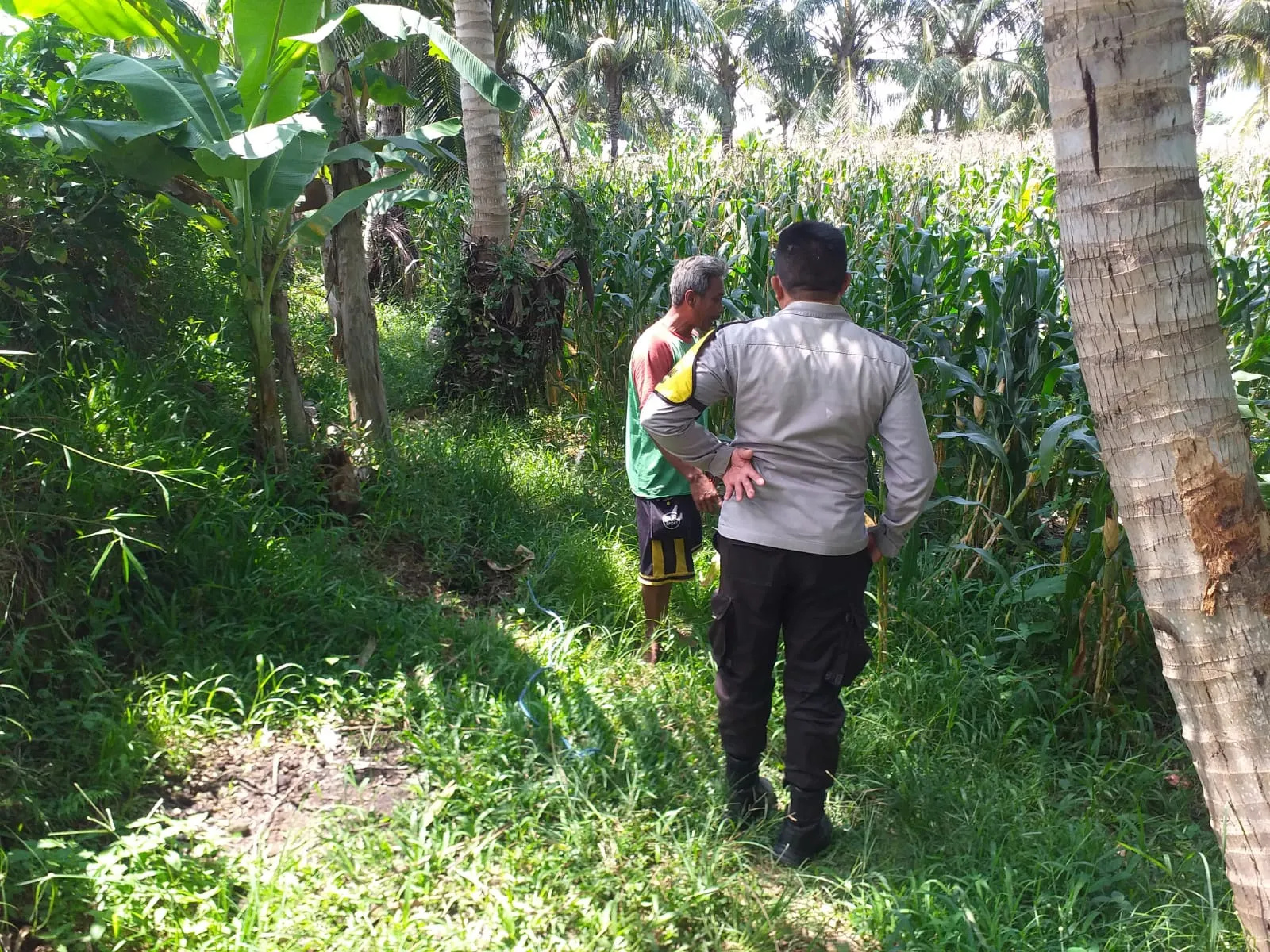 Sinergi Polri dan Petani di Lombok Barat Perkuat Kemandirian Pangan