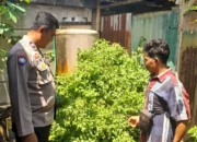 Inisiatif Bhabinkamtibmas Senggigi: Warga Diajak Mandiri Pangan