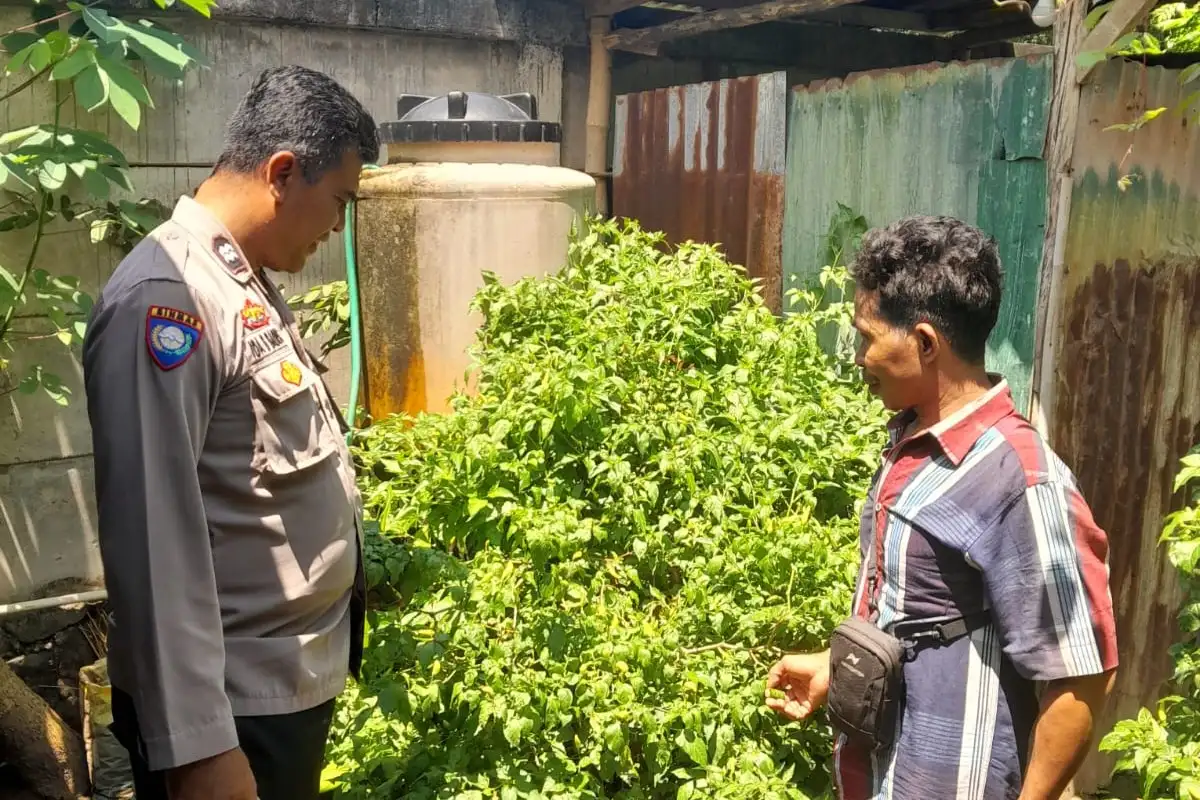 Optimalkan Lahan Kosong, Warga Senggigi Diedukasi Diversifikasi Pangan