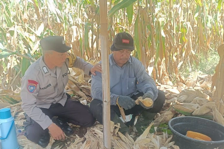 Polres Lombok Barat Kawal Stabilitas Harga Beras untuk Lindungi Warga