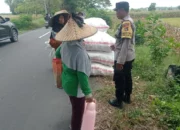 Sinergi Polri dan Petani, Panen Jagung di Dasan Geres Sukses Besar