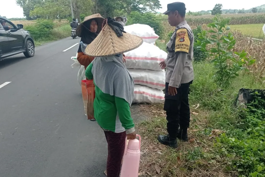 Peran Polisi di Balik Panen Jagung Sukses Petani Lombok Barat