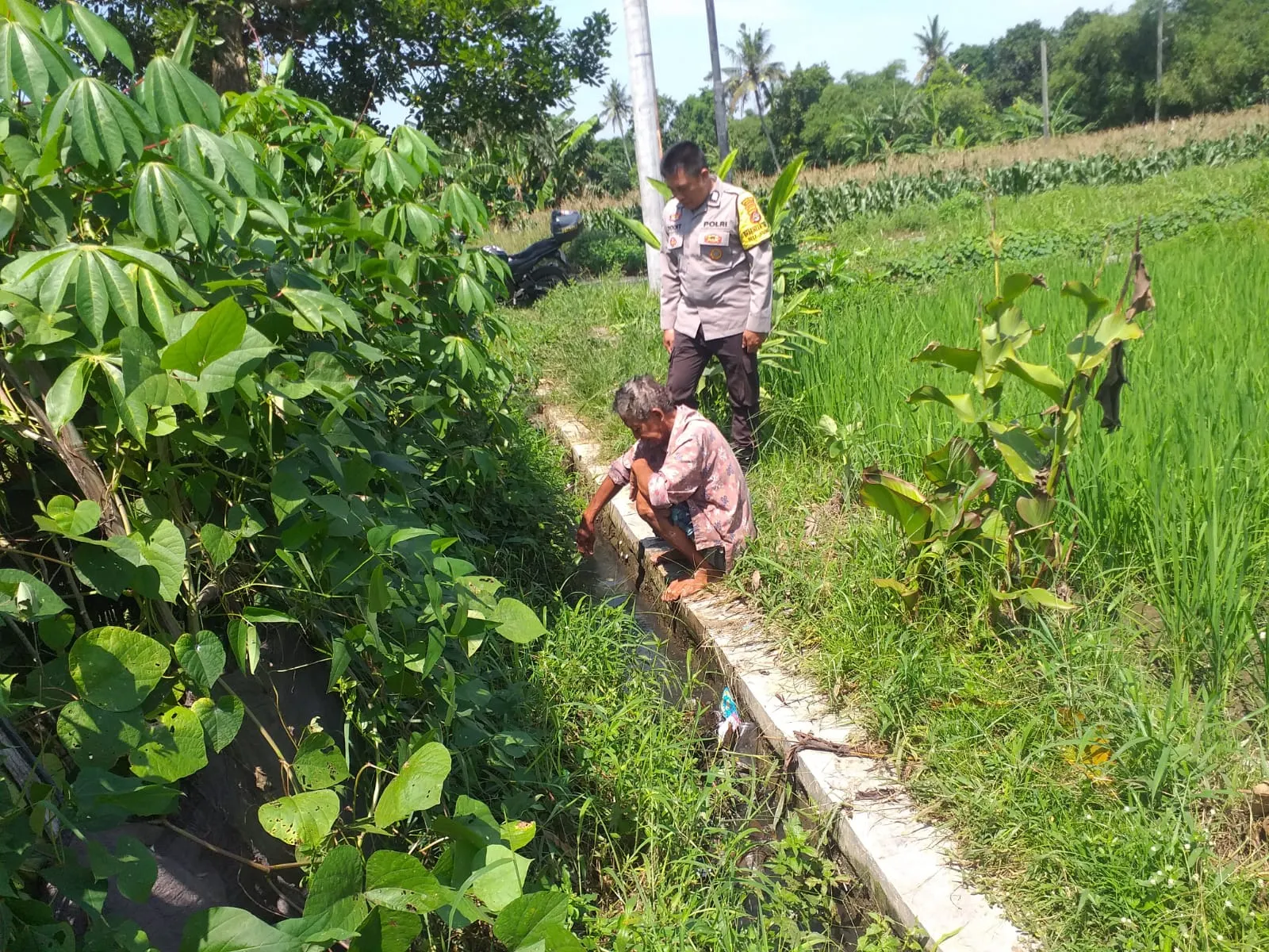 Petani Jagaraga Didorong Polri Tanam Padi dan Jagung untuk Pangan Lokal