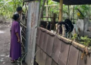 Polisi Turun ke Desa, Dorong Ketahanan Pangan dari Rumah Sendiri