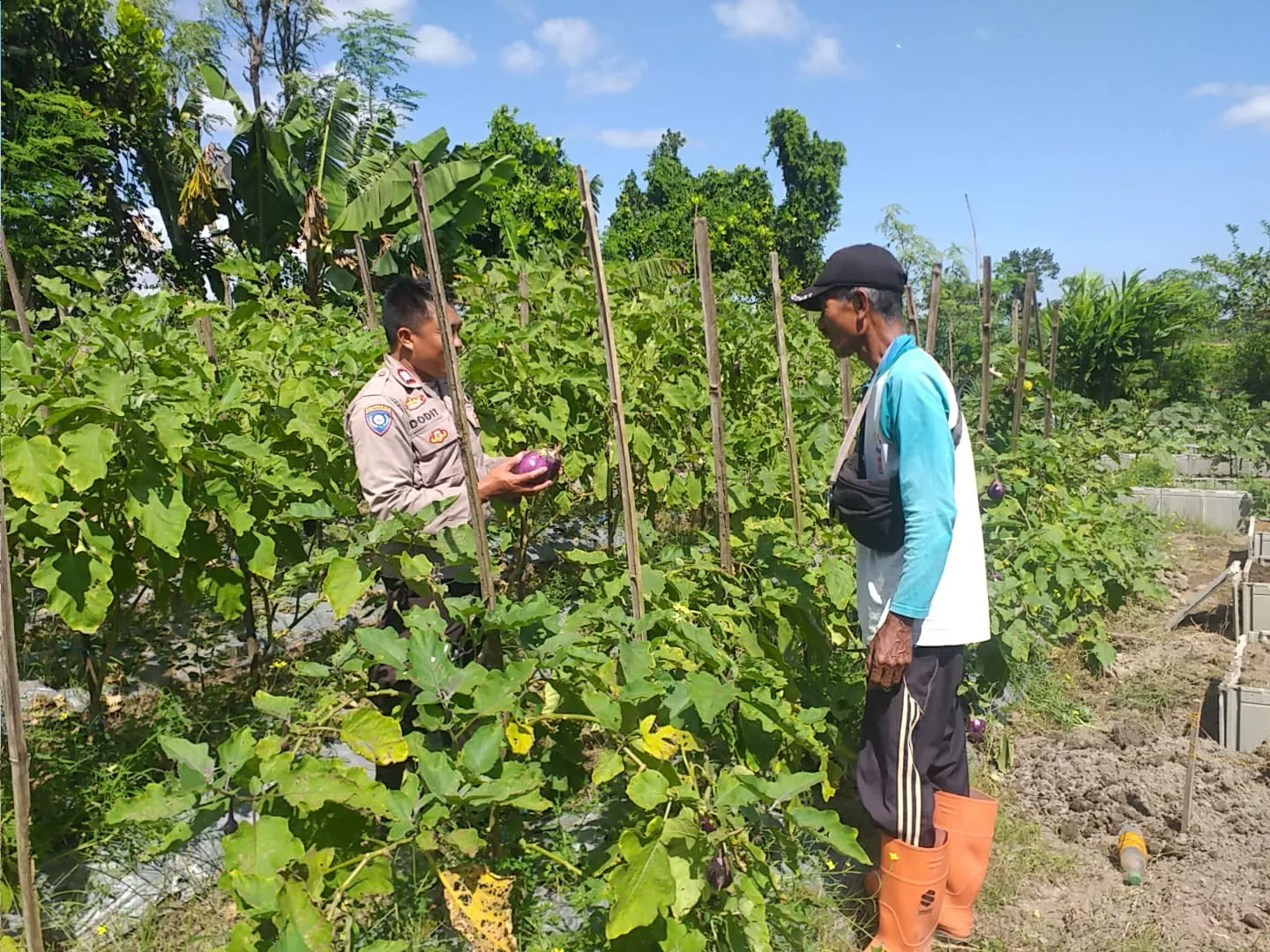 Bhabinkamtibmas Ajak Warga Optimalkan Pekarangan untuk Ketahanan Pangan