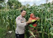 Dukung Program Pemerintah, Polsek Labuapi Gencarkan Edukasi Ketahanan Pangan