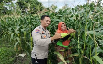 Sinergi Polri dan Warga Labuapi Wujudkan Kemandirian Pangan Keluarga