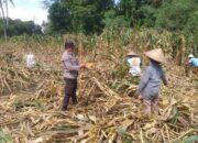 Bhabinkamtibmas Ajak Warga Jagaraga Manfaatkan Lahan Kosong