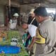 Program Ketahanan Pangan di Lombok Barat Didukung Langsung Bhabinkamtibmas
