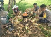 Petani Jagung di Lombok Barat Kini Tenang, Ini Sosok di Baliknya