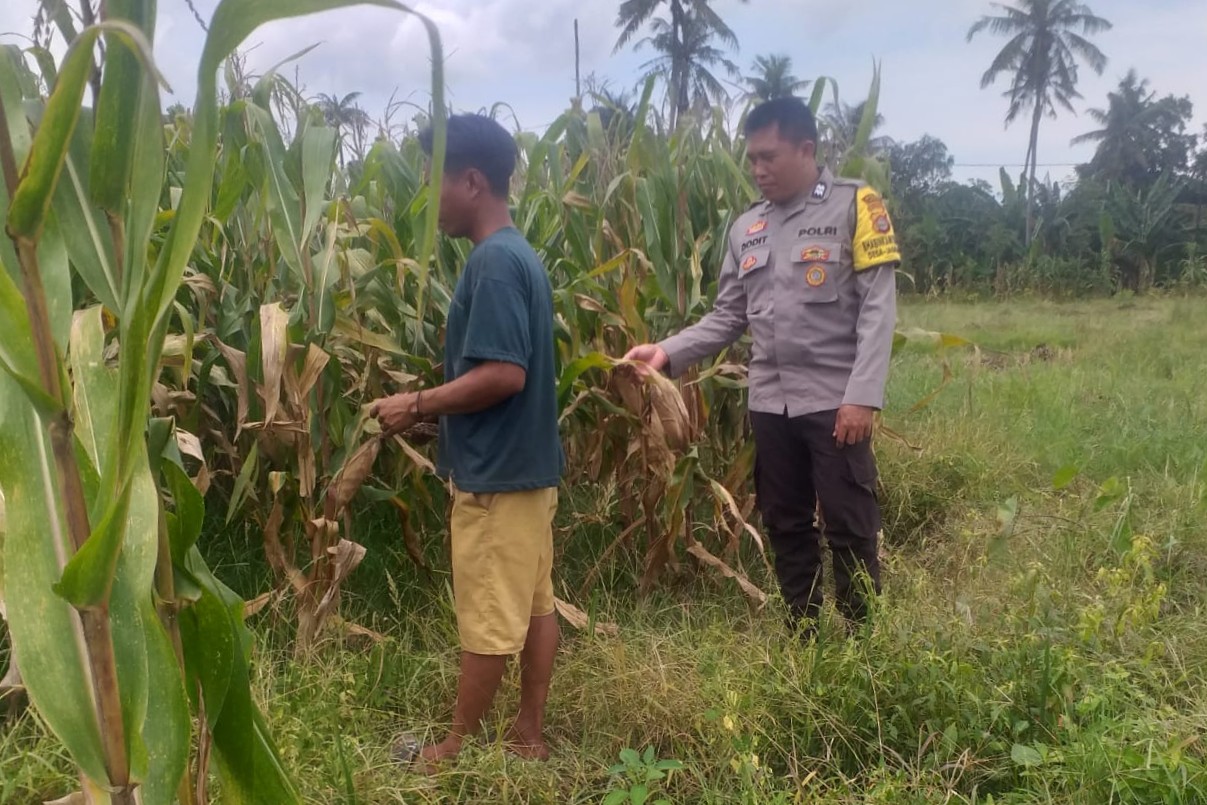 Sinergi Polri dan Warga Wujudkan Kemandirian Pangan di Lombok Barat