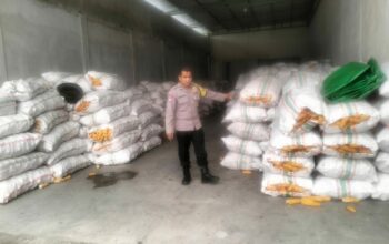 Sinergi Polri dan Bulog Jamin Harga Jual Jagung Petani Lombok Barat